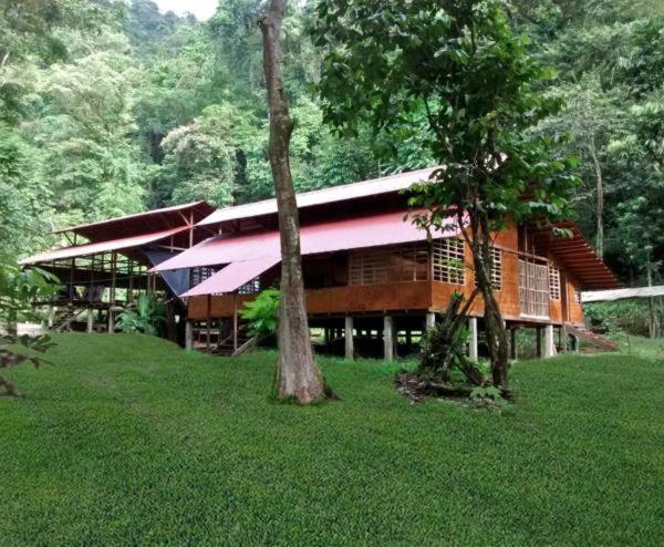 Safio. Una casa en el paraiso. Nuquí Exterior foto